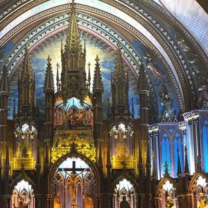 Meet your Posher, Jacque